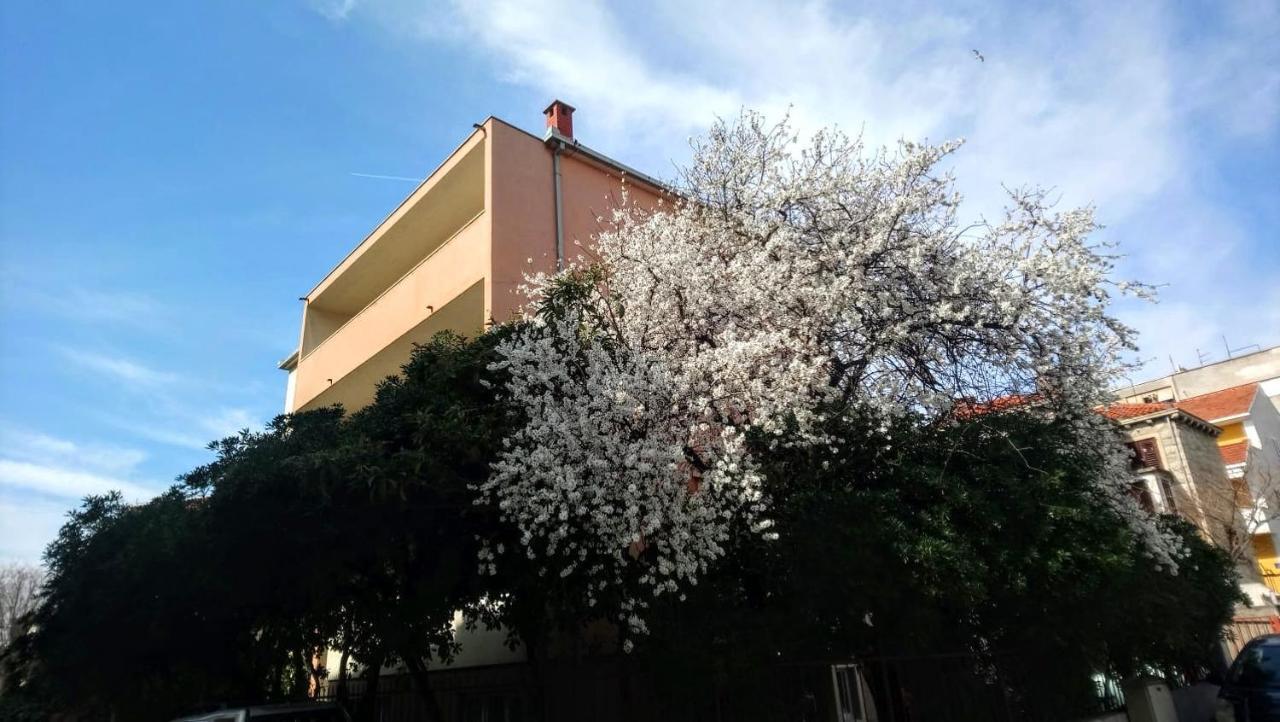 Split Symphony Garden: Modern, New Apartment Εξωτερικό φωτογραφία